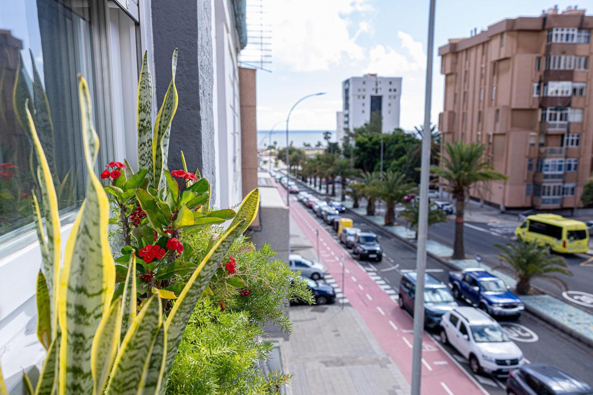 Bambu Suites Vegueta Alquiler Por Habitacion Las Palmas de Gran Canaria Exteriér fotografie
