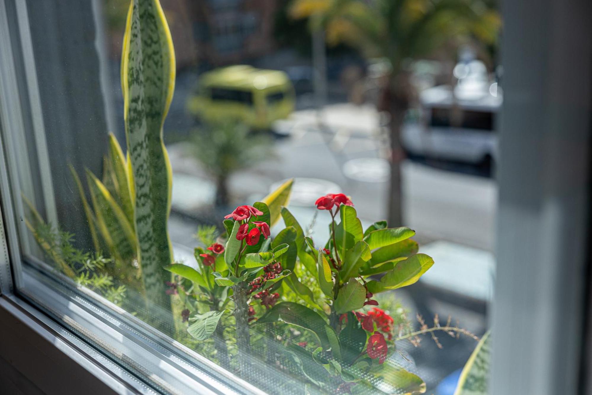 Bambu Suites Vegueta Alquiler Por Habitacion Las Palmas de Gran Canaria Exteriér fotografie