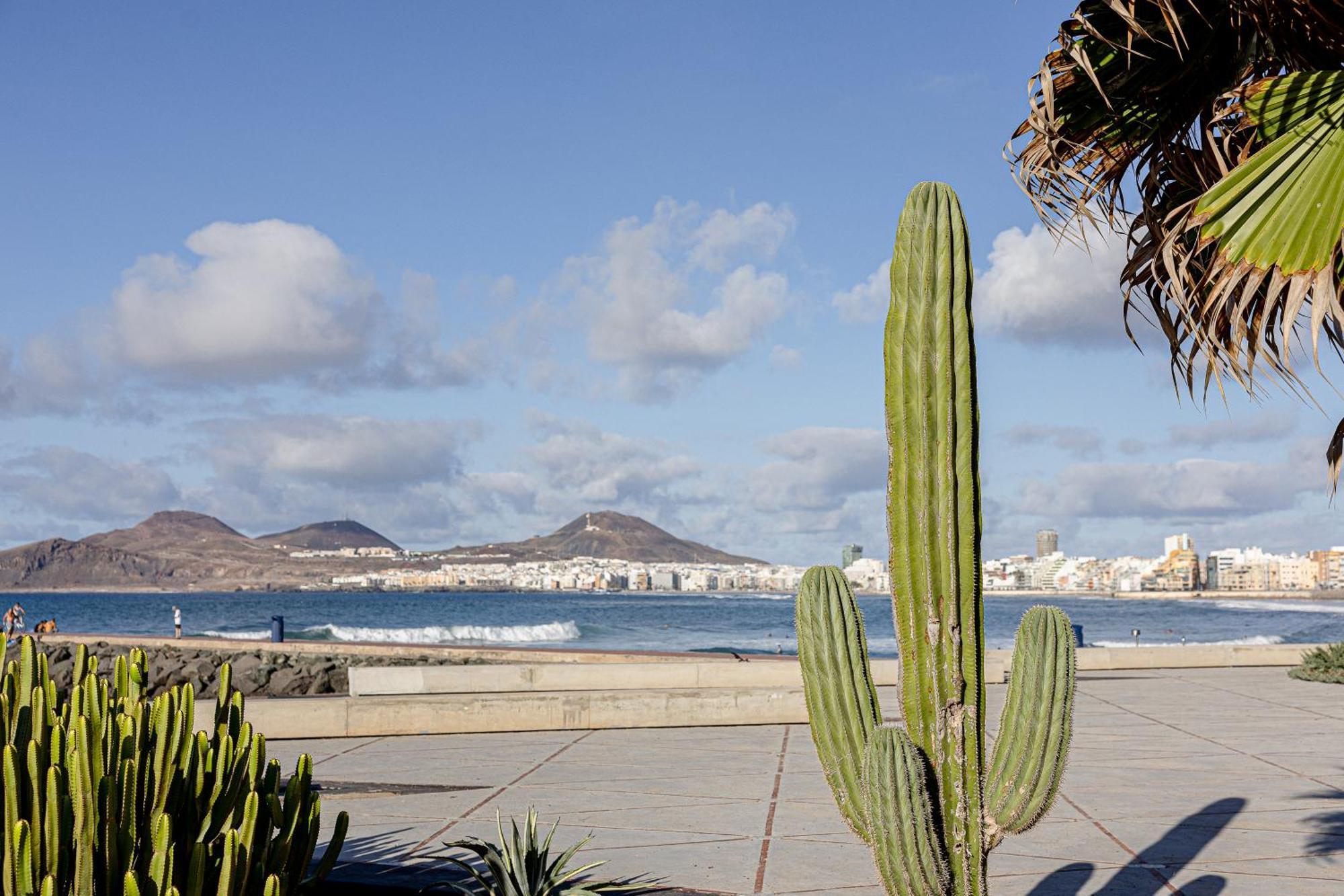Bambu Suites Vegueta Alquiler Por Habitacion Las Palmas de Gran Canaria Exteriér fotografie
