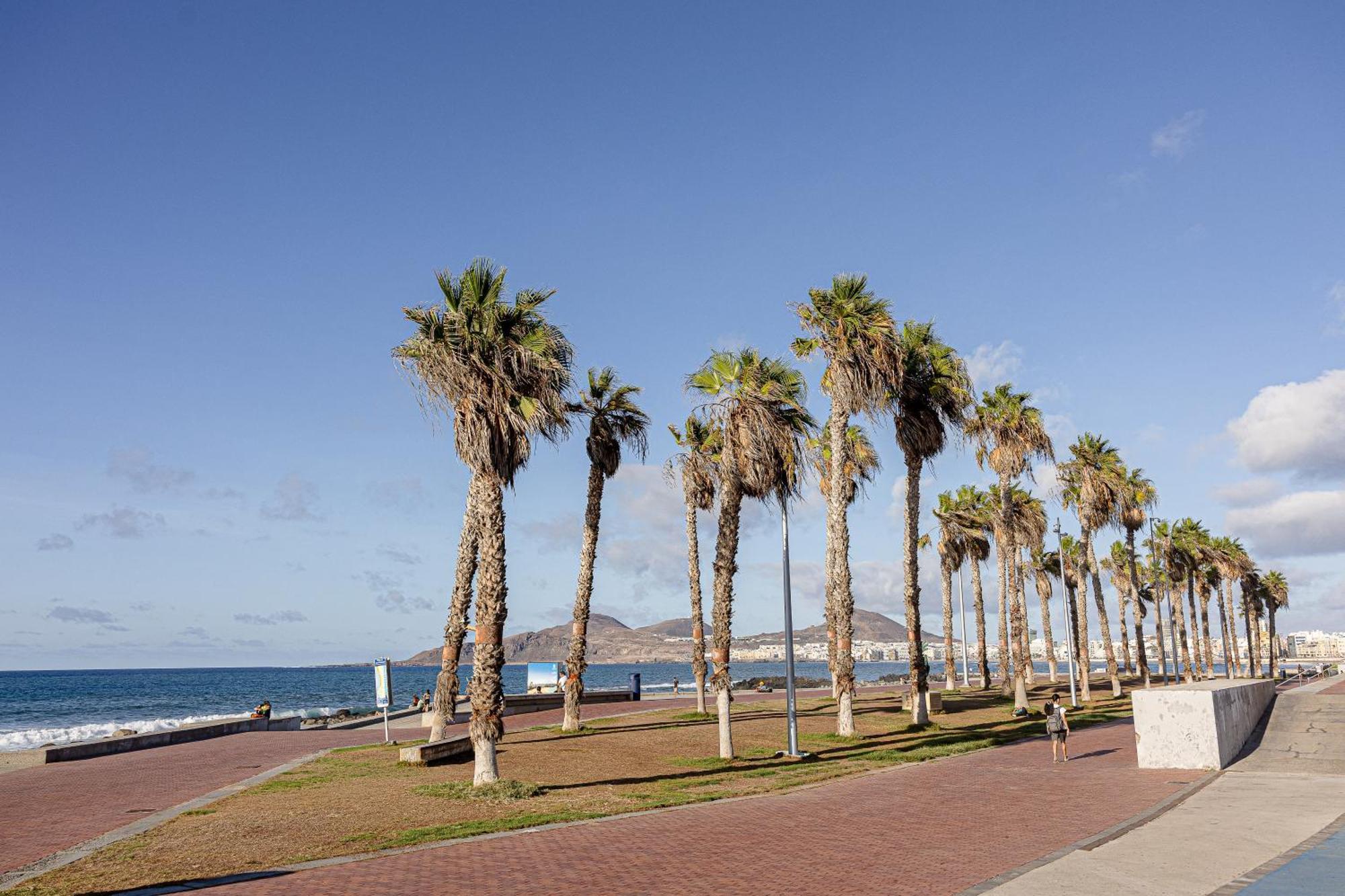 Bambu Suites Vegueta Alquiler Por Habitacion Las Palmas de Gran Canaria Exteriér fotografie
